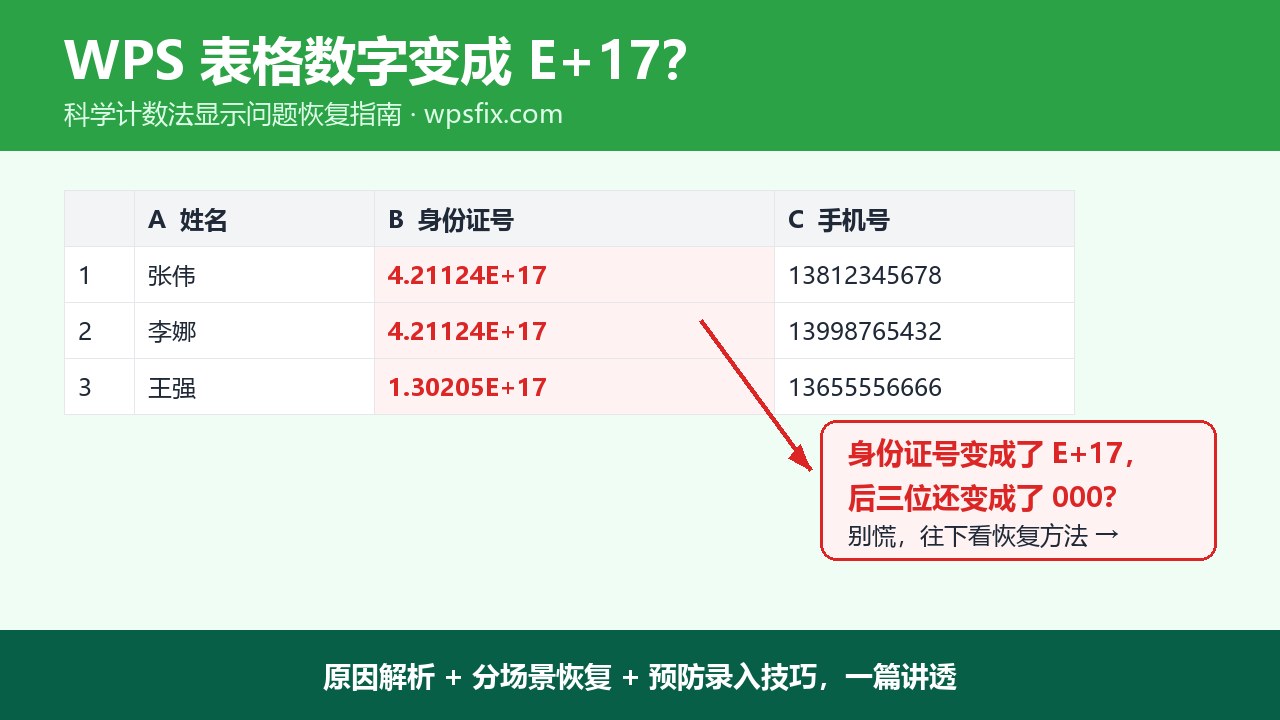 WPS表格数字变成E+17怎么恢复？科学计数法显示问题完整解决指南